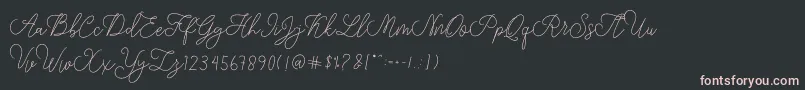 Шрифт modista script – розовые шрифты на чёрном фоне