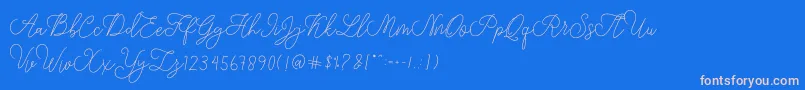 modista script-Schriftart – Rosa Schriften auf blauem Hintergrund