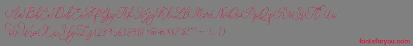 modista script-Schriftart – Rote Schriften auf grauem Hintergrund