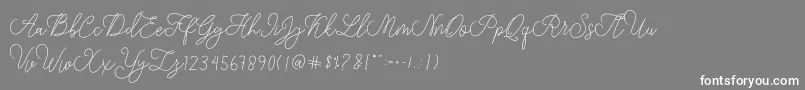 Шрифт modista script – белые шрифты на сером фоне