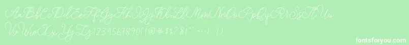 modista script Font – White Fonts on Green Background