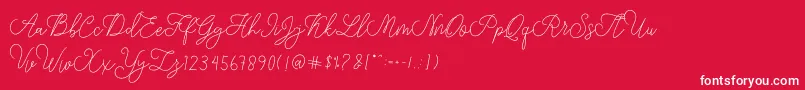 modista script-fontti – valkoiset fontit punaisella taustalla
