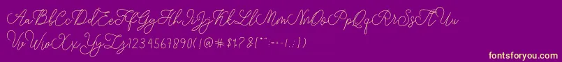 modista script-Schriftart – Gelbe Schriften auf violettem Hintergrund