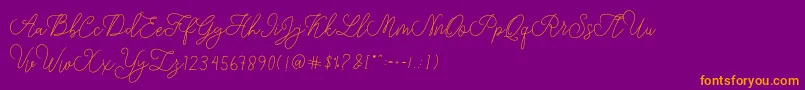 modista script Font – Orange Fonts on Purple Background