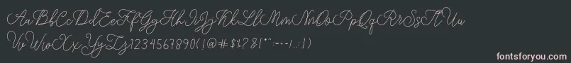 Шрифт modista script – розовые шрифты на чёрном фоне