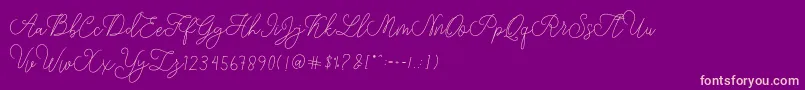 modista script Font – Pink Fonts on Purple Background