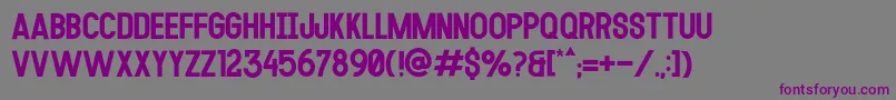 MODULAR 14 Font – Purple Fonts on Gray Background