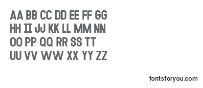 Review of the MODULAR 14 Font