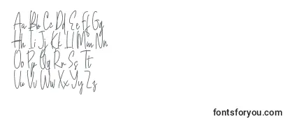 Обзор шрифта Mojang Script