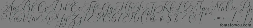 Molandika Script-fontti – mustat fontit harmaalla taustalla