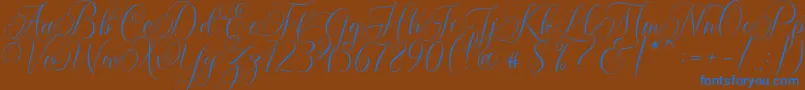 Molandika Script-fontti – siniset fontit ruskealla taustalla