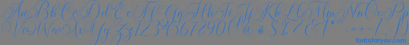 Molandika Script-Schriftart – Blaue Schriften auf grauem Hintergrund