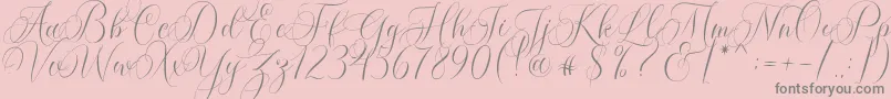 Molandika Script Font – Gray Fonts on Pink Background