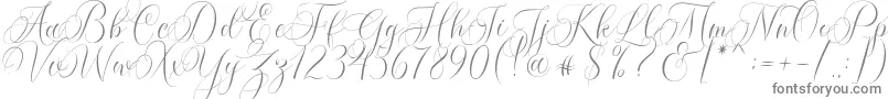 Czcionka Molandika Script – szare czcionki