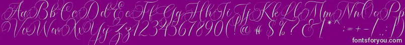 fuente Molandika Script – Fuentes Verdes Sobre Fondo Morado