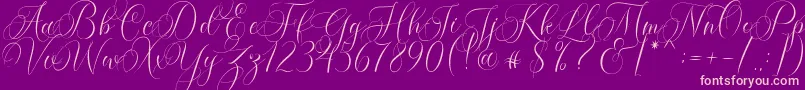 Molandika Script Font – Pink Fonts on Purple Background