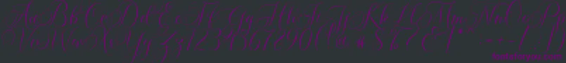 Molandika Script Font – Purple Fonts on Black Background