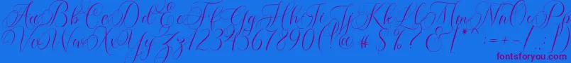 Molandika Script Font – Purple Fonts on Blue Background