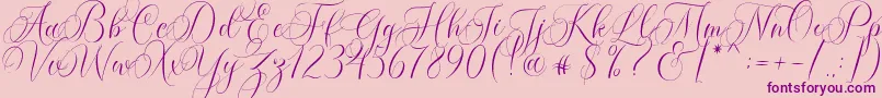 Molandika Script Font – Purple Fonts on Pink Background