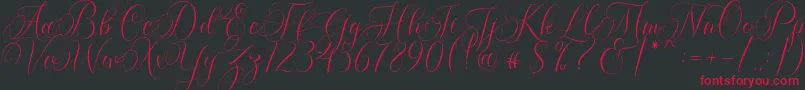 Molandika Script Font – Red Fonts on Black Background