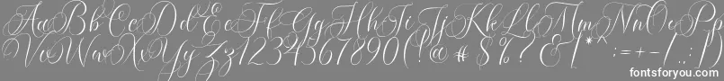 Molandika Script-fontti – valkoiset fontit harmaalla taustalla