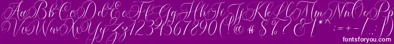 Molandika Script-fontti – valkoiset fontit violetilla taustalla