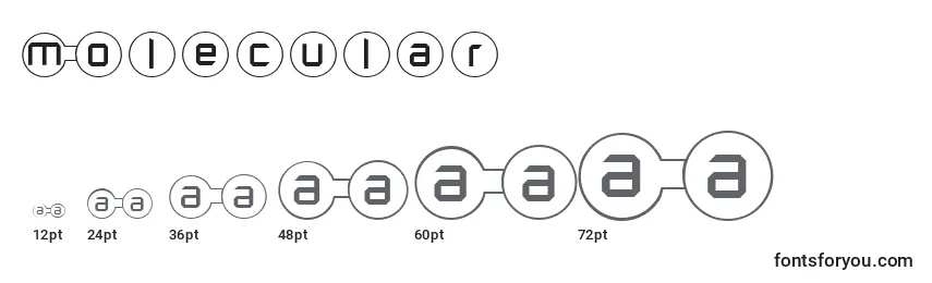 Molecular (134661) Font Sizes