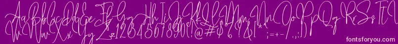 Mollaroid   Font – Pink Fonts on Purple Background