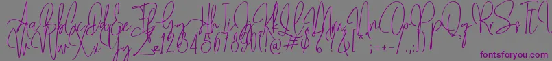 Mollaroid   Font – Purple Fonts on Gray Background