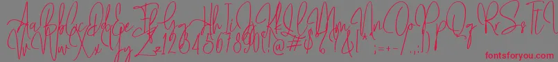 Mollaroid   Font – Red Fonts on Gray Background