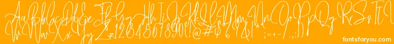 Mollaroid   Font – White Fonts on Orange Background