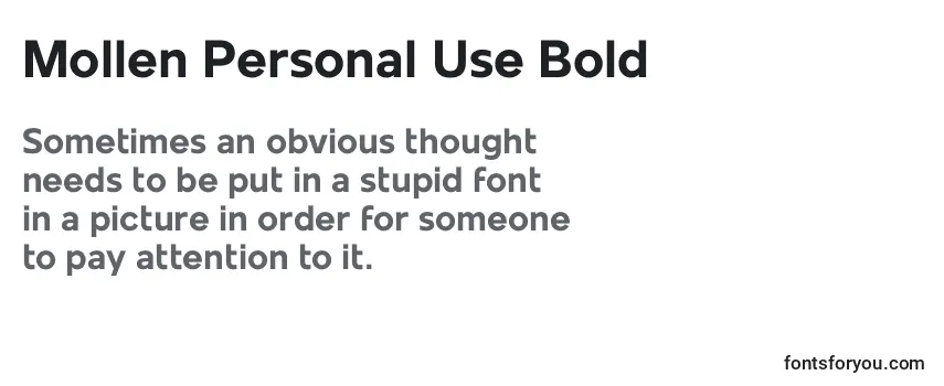 Mollen Personal Use Bold Font