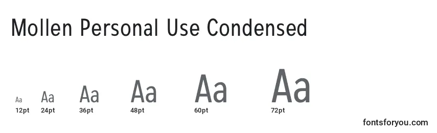 Размеры шрифта Mollen Personal Use Condensed