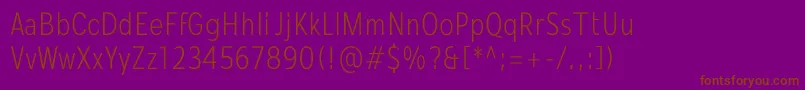 Mollen Personal Use LightCondensed-fontti – ruskeat fontit violetilla taustalla