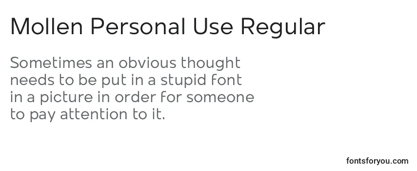 Review of the Mollen Personal Use Regular Font