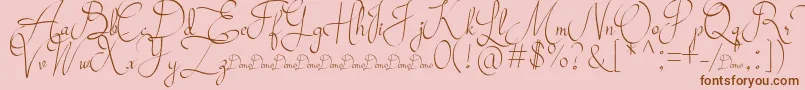 Mollucash DEMO Font – Brown Fonts on Pink Background