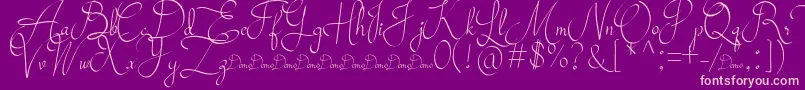 Mollucash DEMO Font – Pink Fonts on Purple Background