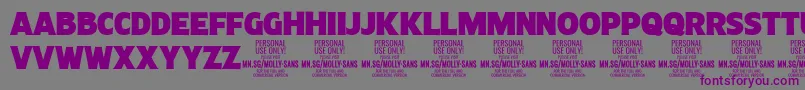 フォントMollySansC Bl PERSONAL – 紫色のフォント、灰色の背景