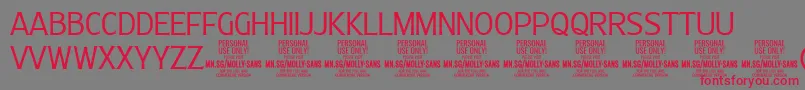 Czcionka MollySansC Li PERSONAL – czerwone czcionki na szarym tle