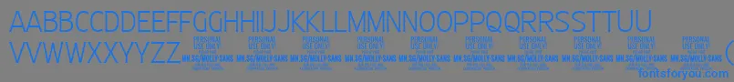 MollySansC Th PERSONAL Font – Blue Fonts on Gray Background