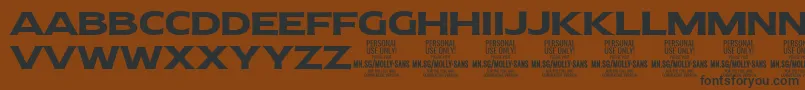 Шрифт MollySansE Bo PERSONAL – чёрные шрифты на коричневом фоне