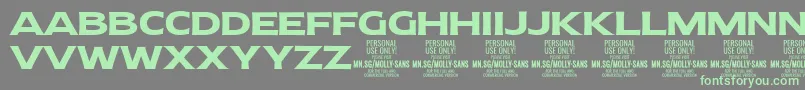 MollySansE Bo PERSONAL-Schriftart – Grüne Schriften auf grauem Hintergrund