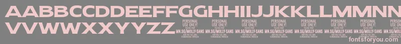 フォントMollySansE Bo PERSONAL – 灰色の背景にピンクのフォント