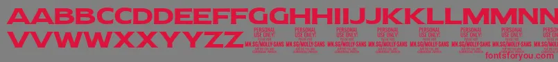 Czcionka MollySansE Bo PERSONAL – czerwone czcionki na szarym tle