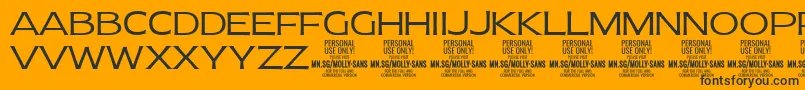MollySansE Li PERSONAL-Schriftart – Schwarze Schriften auf orangefarbenem Hintergrund