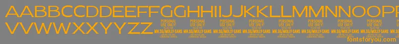 MollySansE Li PERSONAL-Schriftart – Orangefarbene Schriften auf grauem Hintergrund