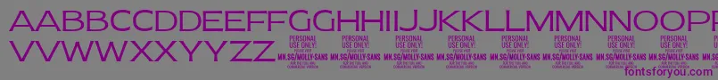 Шрифт MollySansE Li PERSONAL – фиолетовые шрифты на сером фоне