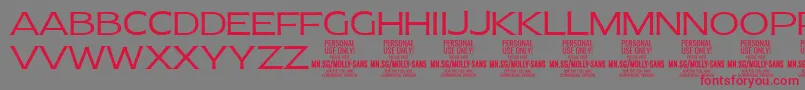 Шрифт MollySansE Li PERSONAL – красные шрифты на сером фоне