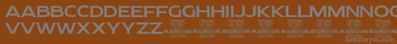 MollySansE Me PERSONAL Font – Gray Fonts on Brown Background