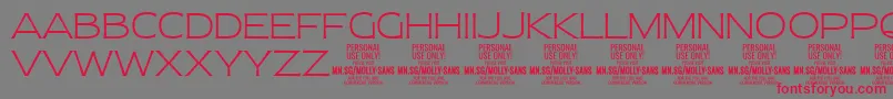 MollySansE Th PERSONAL-Schriftart – Rote Schriften auf grauem Hintergrund